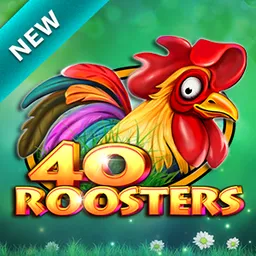 40 Roosters